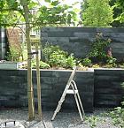Linia Excellence 15x15x60 cm Nero